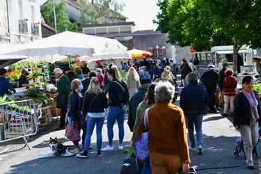 Votre plus beau marché : le marché Marceau à Limoges en Haute-Vienne représentera le Limousin lors de la finale