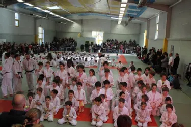 Bonne participation du judo-club