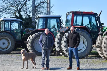 Allier : Agri distribution offre une seconde vie au large aux tracteurs