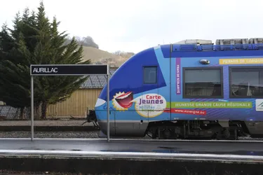 La qualité du réseau ferré TER d'Auvergne et du Limousin est "en baisse continue" selon Reporterre