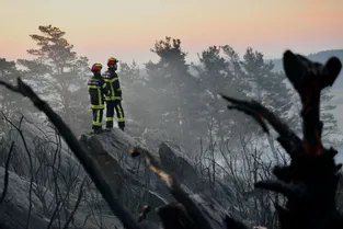 Un violent incendie détruit quinze hectares de forêt à Anzat-le-Luguet (Puy-de-Dôme)