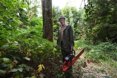 A 72 ans, armé de sa tronçonneuse, Richard est le "nettoyeur" de la forêt du pays de Guéret