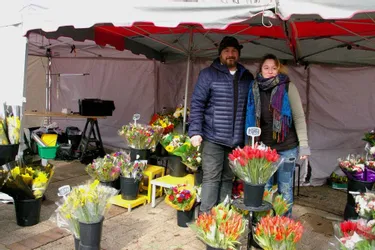 Nouveaux fleuristes sur le marché