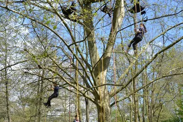 La « grimpe dans les arbres » est l’une des activités proposées, aujourd’hui, pour les MJ Day