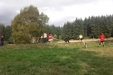 Un Cani’Run qui renforce les liens humains-canins