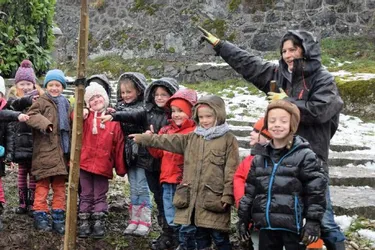 Les élèves plantent un arbre pour le climat