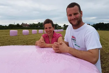 Des bottes de foin rose dans les prés de l'Allier pour lutter contre le cancer du sein