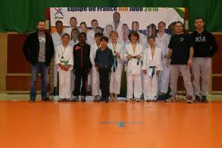 Judo : résultats du club du Plateau Bortois