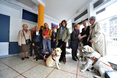 Soutien à la formation de chiens guides d'aveugles