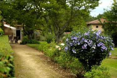 Les jardins du Ventalon ouvrent leurs portes près d’Augerolles