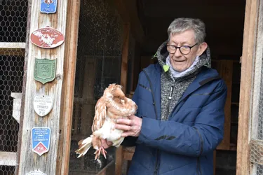 Au salon avicole de Brioude, Jean-Paul Siozade partage sa passion pour les pigeons