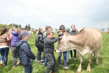 Les écoliers en visite à la ferme