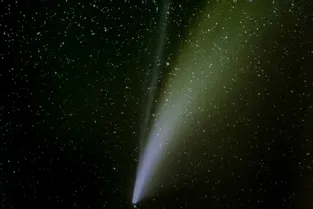 Comment observer la comète Neowise en Corrèze ?