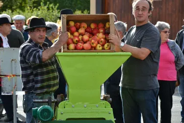 La fête de la pomme a rassemblé plusieurs centaines de visiteurs, tous friands du fruit