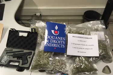 Plus de 3 kg de cannabis dans sa voiture : prison ferme pour « la mule » interpellée sur l'A75 en Haute-Loire