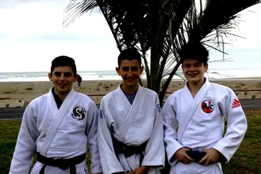 Les judokas au tournoi de Saint Cyprien