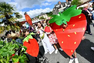 La Fête de la fraise de Beaulieu (Corrèze), prévue le 10 mai, ne pourra pas avoir lieu