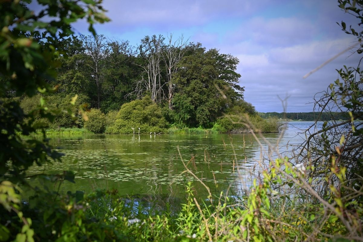 En Creuse, la réserve naturelle de l'étang des Landes est au bord de la
