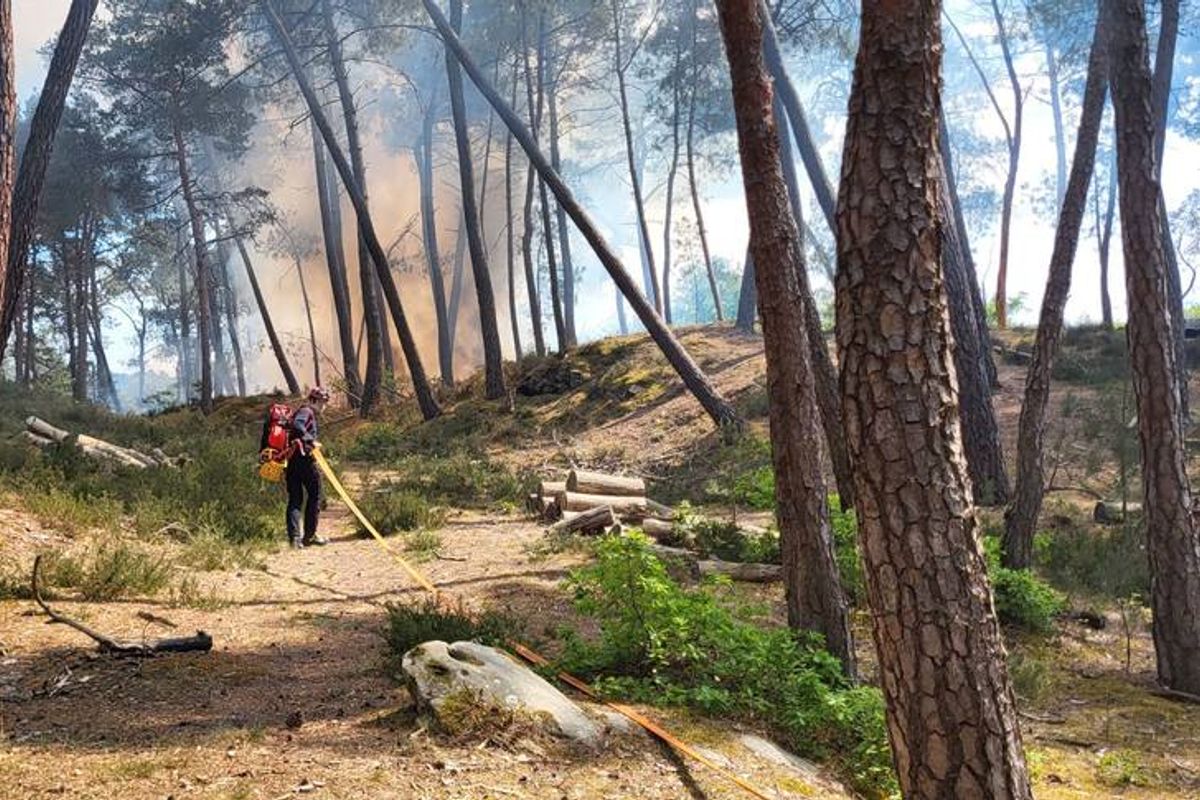 AM-Zerspanungstechnik Mèche Forstner, de 100 mm de diamètre, foret à bois professionnel, foret à charnière, foret à pot