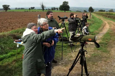 La section de Montluçon a participé à l’Eurobirdwatch, dimanche, sur la commune de Sainte-Thérence
