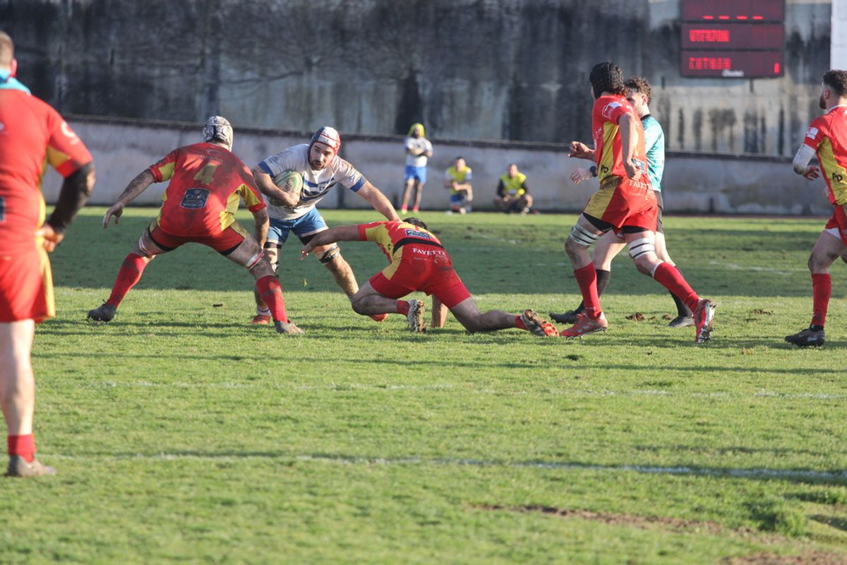 Handball Rugby Basket, foot, handball, rugby : les résultats du week-end pour les ...