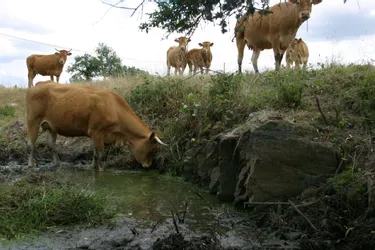 Calamités agricoles : toutes les communes de Creuse finalement retenues au titre de la sécheresse 2015