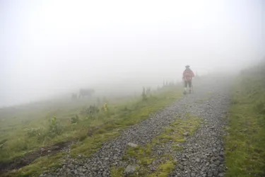 Le résumé d'une cinquième journée sur le volcan du Cantal : du Falgoux au Fau, la jeunesse au sortir du brouillard
