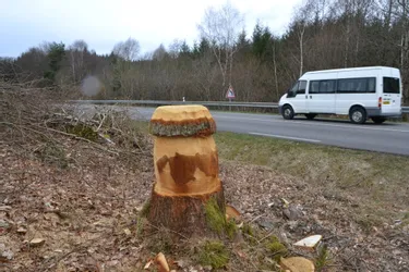 En Corrèze, les cèpes deviennent symboles de land art