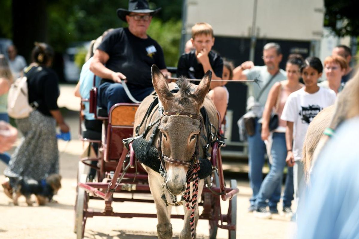Que faire le samedi 26 juillet dans le Loiret : nous avons sélectionné 36 rendez-vous