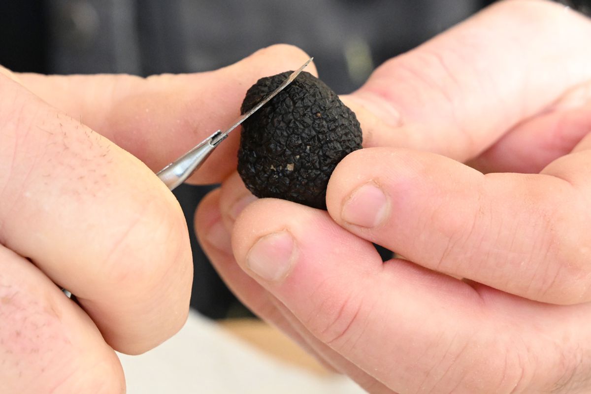 Marché aux truffes, cirque, élection de miss… Cinq idées de sorties dans le Loiret pour le week-end des 17 et 18 janvier