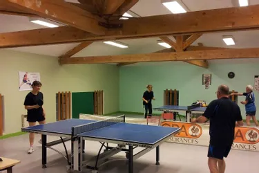 Le ping-pong solide à table