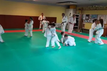 Une réussite pour la reprise du judo