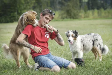 Éducateur comportementaliste canin, Pierre aide le chien à trouver la bonne attitude et la sérénité (Cantal)