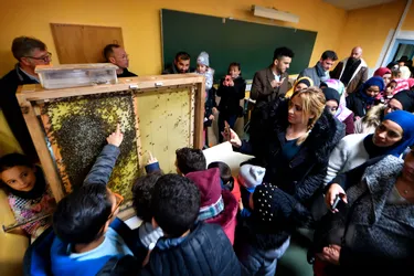 Une première ruche pédagogique à Clermont-Ferrand : à quoi sert-elle ?