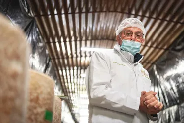 Il teste les lots de cantal AOP avant leur commercialisation : Michel Margot, l’œnologue des fromages