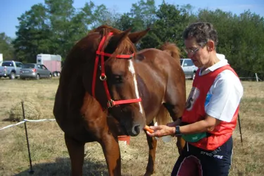 Une Auriacoise se qualifie sur une épreuve d'endurance équestre