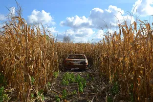 Planchepaleuil : une voiture brûlée dans le champ de maïs