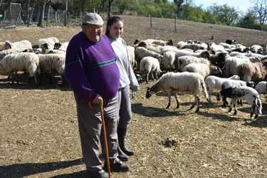 À 74 ans, Daniel Besserve garde une passion intacte pour son métier de berger à Châtel-Guyon (Puy-de-Dôme)