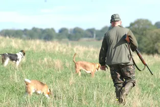 Comptant environ 7.500 adeptes dans le département, la chasse débute sa saison demain