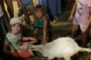 Une visite aux chèvres blanches