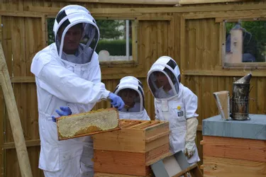 Une première récolte satisfaisante pour le rucher pédagogique