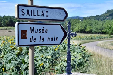La route de la noix encore méconnue des touristes en Corrèze