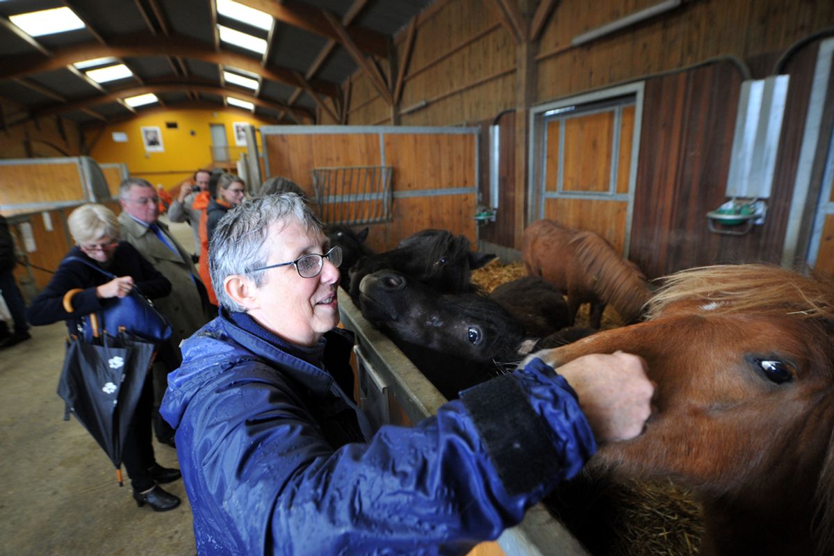 Spa 73 Découvrez le refuge de la SPA unique en France pour les chevaux - L ...