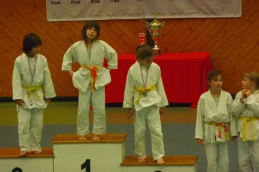 Les jeunes judokas brillent au Volv’ippon