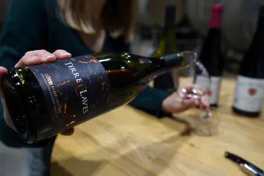 Vinora, le premier salon des vins volcaniques se tiendra à Vulcania (Puy-de-Dôme)