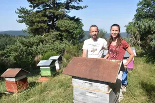 [Série] Deux apiculteurs du village de Bonnefond à Sembadel (Haute-Loire) produisent un miel soucieux de l’environnement