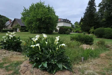 [CARTE] Opération "Rendez-vous aux jardins" : découvrir des jardins autour de Tulle du 3 au 5 juin