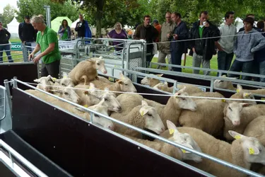 Tech-Ovin : la 9e édition du salon national du mouton se déroulera les 2 et 3 septembre à Bellac