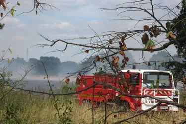 Un feu détruit 6 hectares au Bois de l'Orme dans l'Allier [Actualisé]
