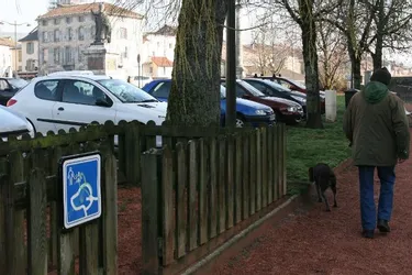 Les déjections canines sont, pour les Aurillacois interrogés, ce qui salit le plus l’image de la ville